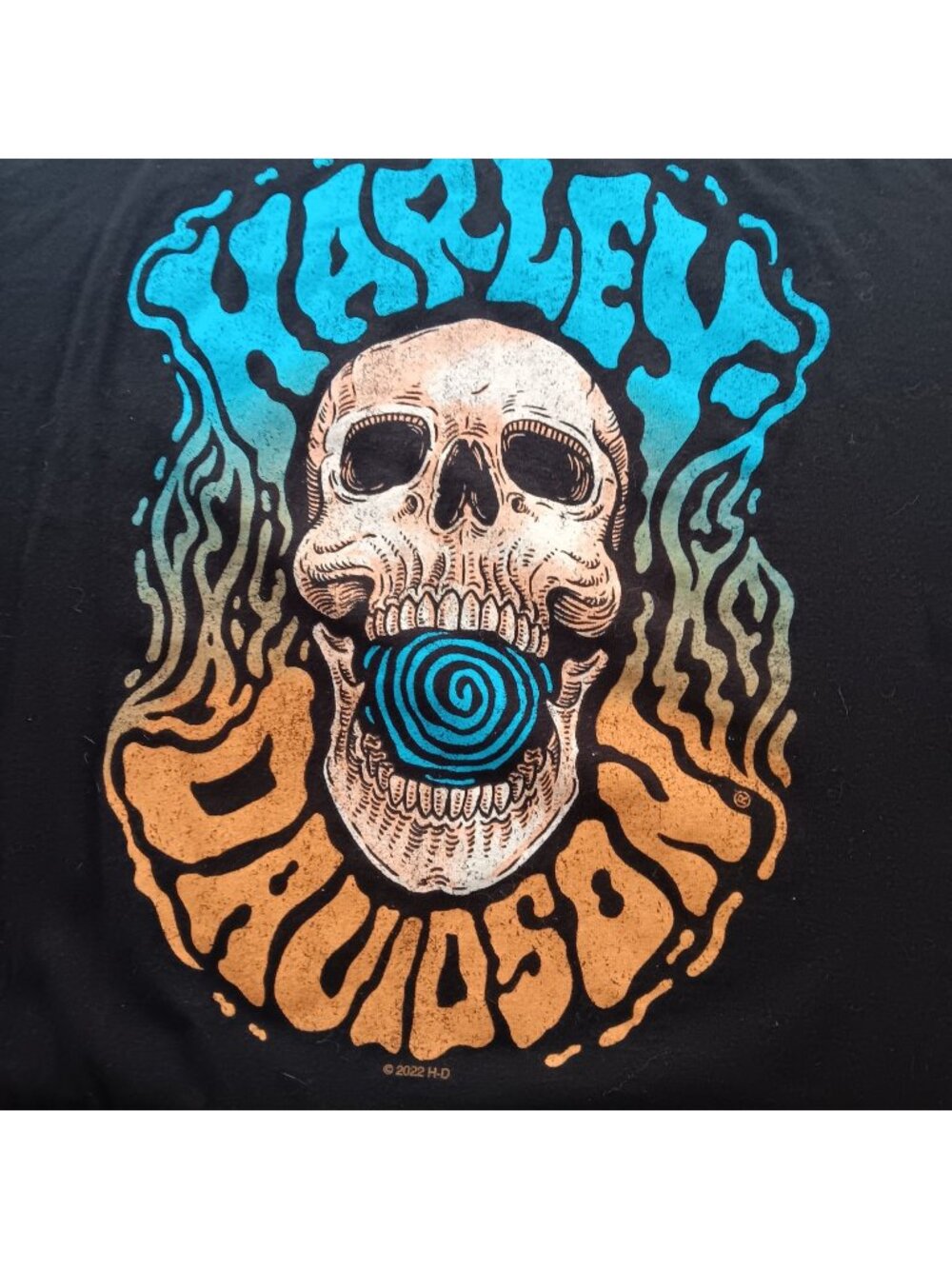 Large Harley-Davidson Skull Graphic T-Shirt Black Hills Rapid City SD 2022 Black